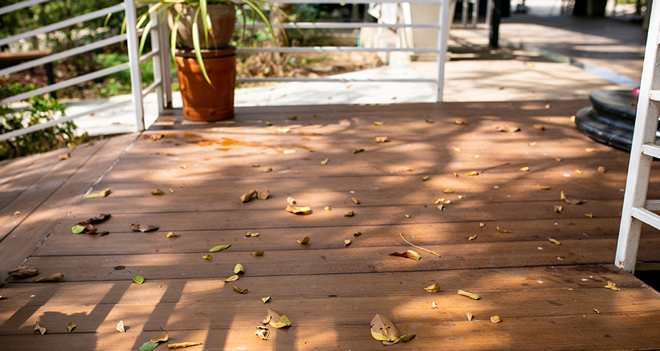 Leaves on a garden decking