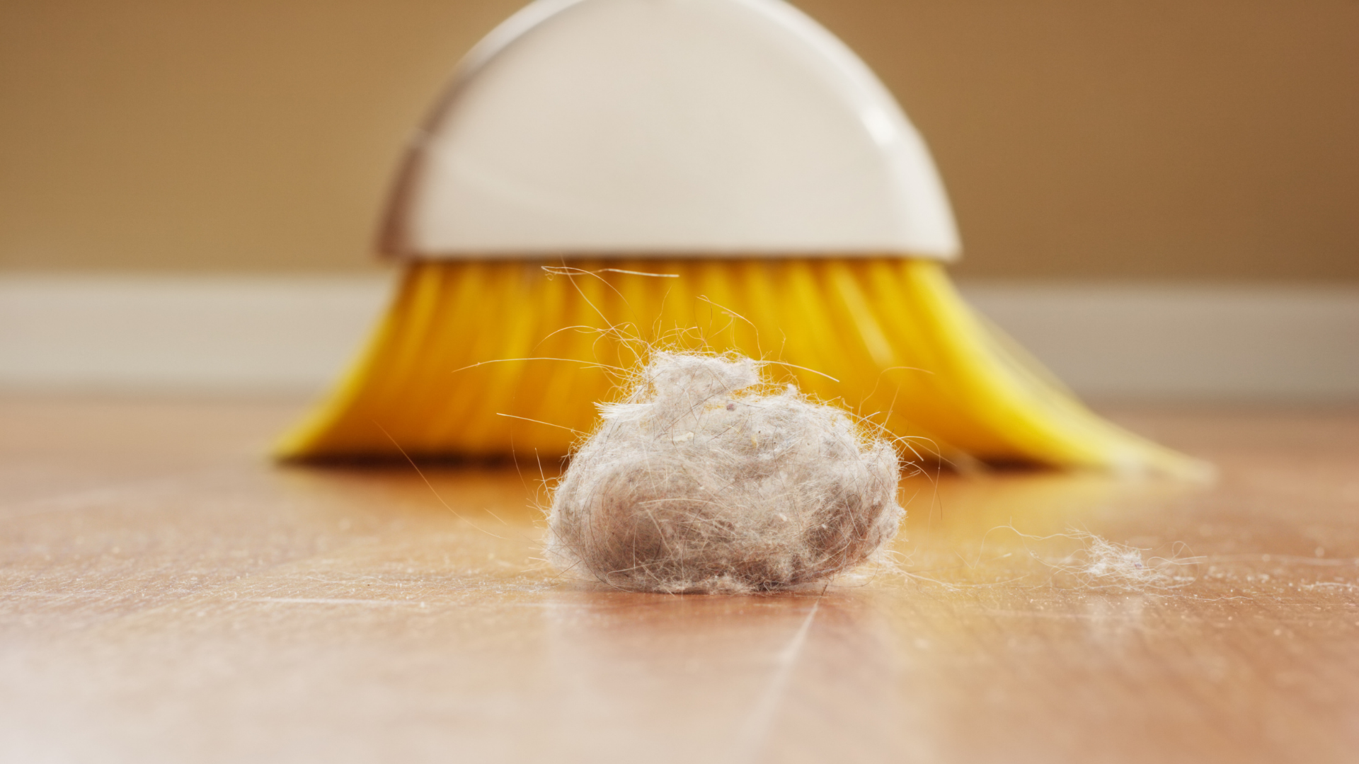 Dust particles Dust particles