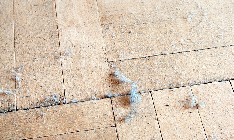 Dusty-floor